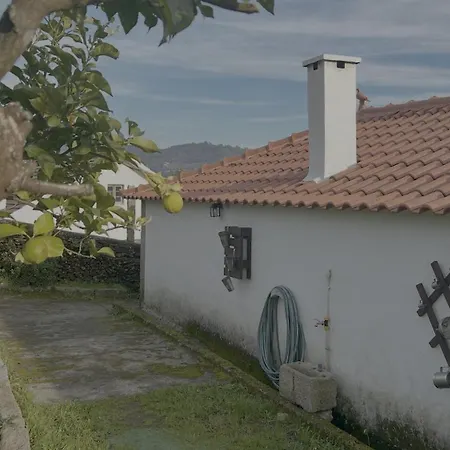 Em Ponte De Lima Arcozelo (Viana do Castelo)