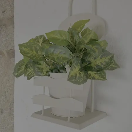 컨트리하우스 Em Ponte De Lima