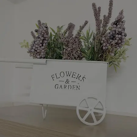 Em Ponte De Lima Arcozelo (Viana do Castelo)