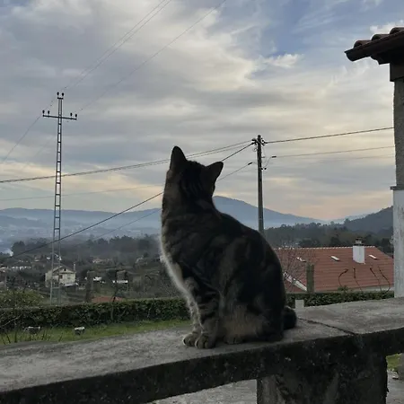 컨트리하우스 Em Ponte De Lima Arcozelo (Viana do Castelo)