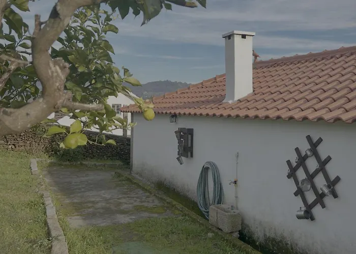 Em Ponte De Lima Arcozelo (Viana do Castelo)