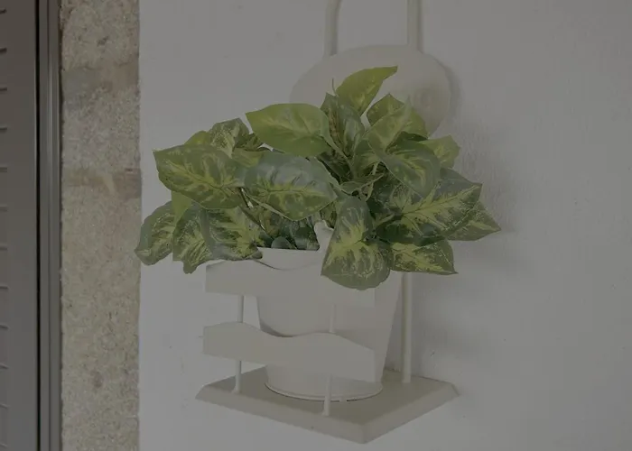 منزل ريفي Em Ponte De Lima