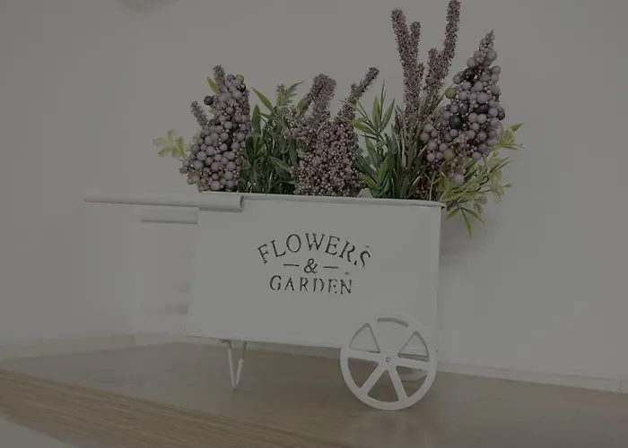 Em Ponte De Lima Arcozelo (Viana do Castelo)