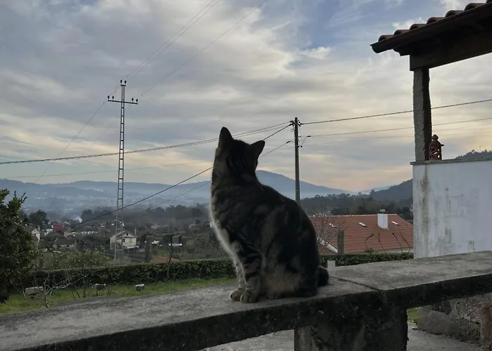 منزل ريفي Em Ponte De Lima Arcozelo (Viana do Castelo)